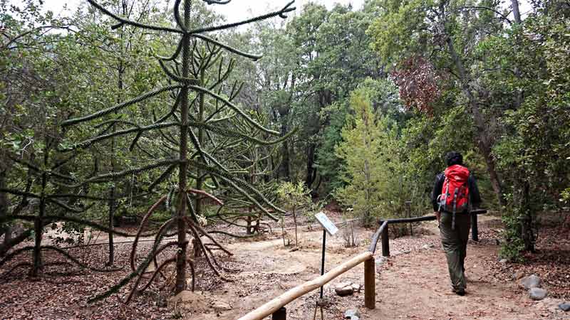 Sumérgete en la naturaleza en el Parque Nacional Río Clarillo, donde encontrarás una variedad de senderos para explorar este hermoso entorno natural. Disfruta de la tranquilidad del río, la exuberante vegetación y la oportunidad de observar la flora y fauna autóctonas en su hábitat natural.