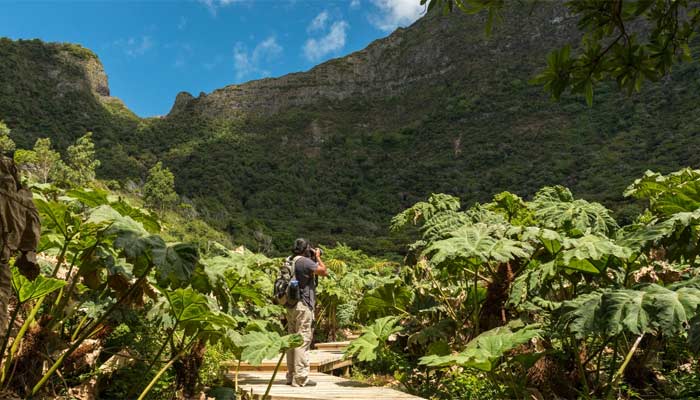 El galardón de "Mejor Destino Verde del Mundo" no solo es un reconocimiento a los logros pasados, sino también un incentivo para el futuro. Chile continúa innovando y desarrollando nuevas estrategias para promover un turismo sostenible que beneficie tanto a la naturaleza como a las comunidades locales.